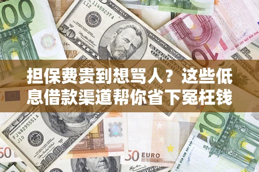 济南担保费贵到想骂人？这些低息借款渠道帮你省下冤枉钱
