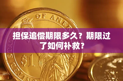 济南担保追偿期限多久？期限过了如何补救？